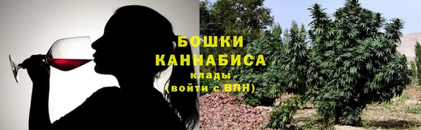 ПСИЛОЦИБИНОВЫЕ ГРИБЫ Ишимбай