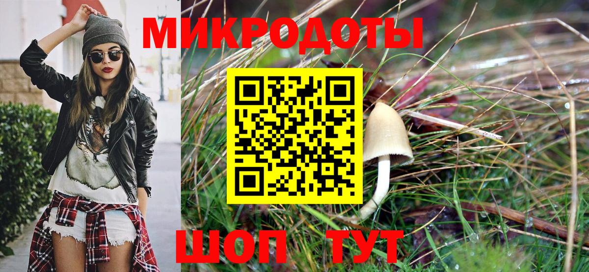 Псилоцибиновые грибы Psilocybine cubensis Горячий Ключ